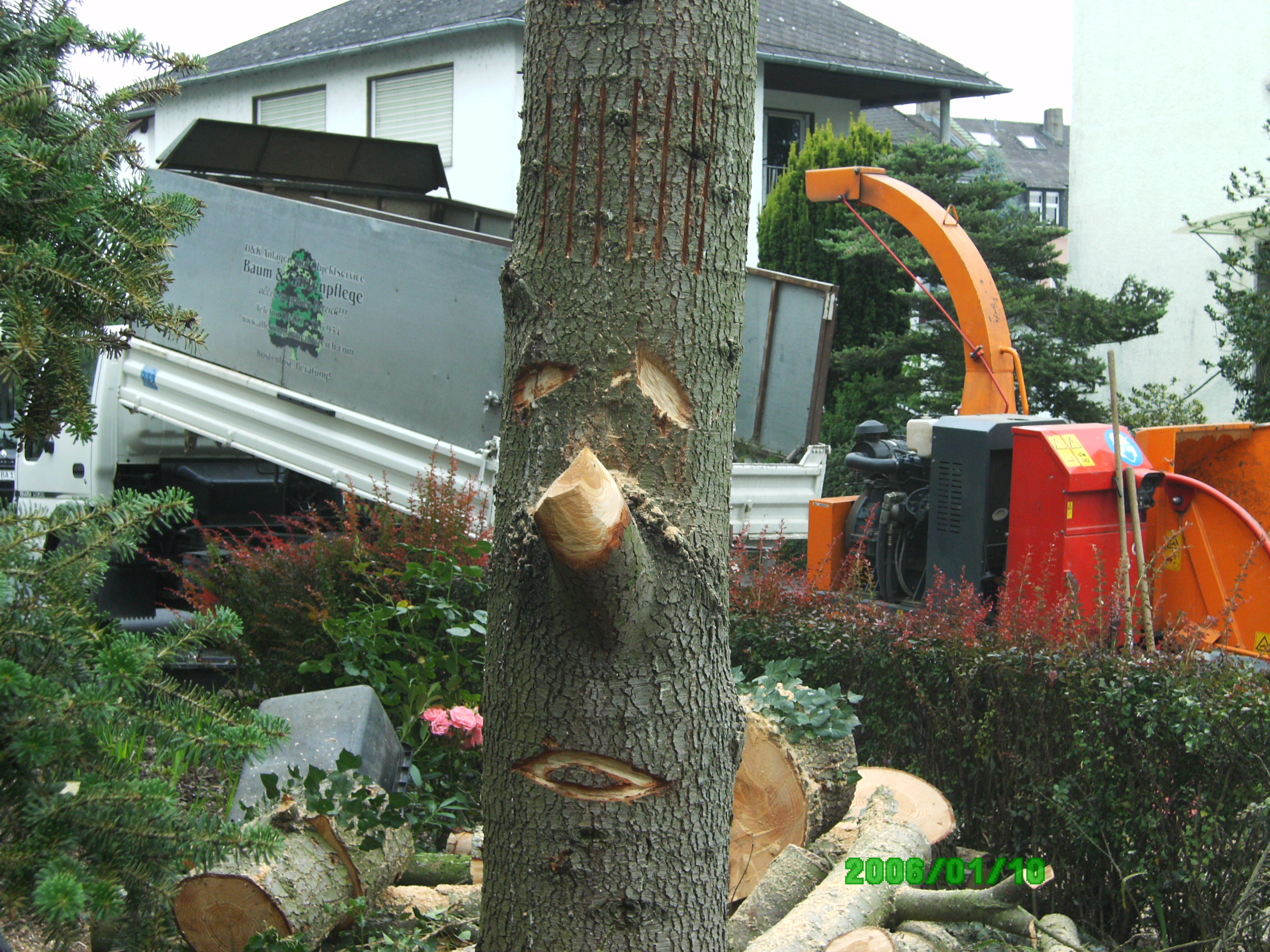 Baum- und Gartenpflege Kraus in Runkel