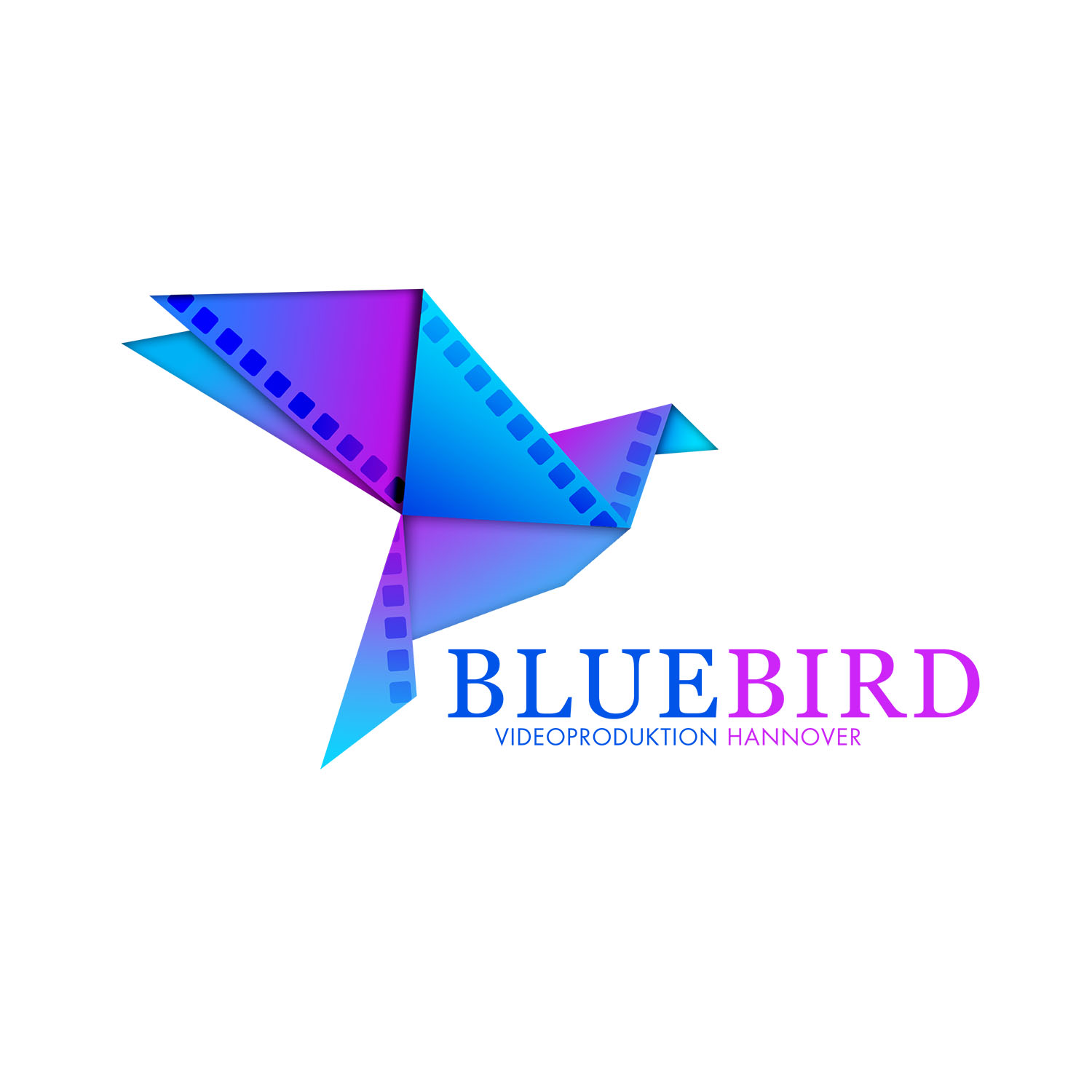 Blue Bird Videoproduktion Hannover in Hannover