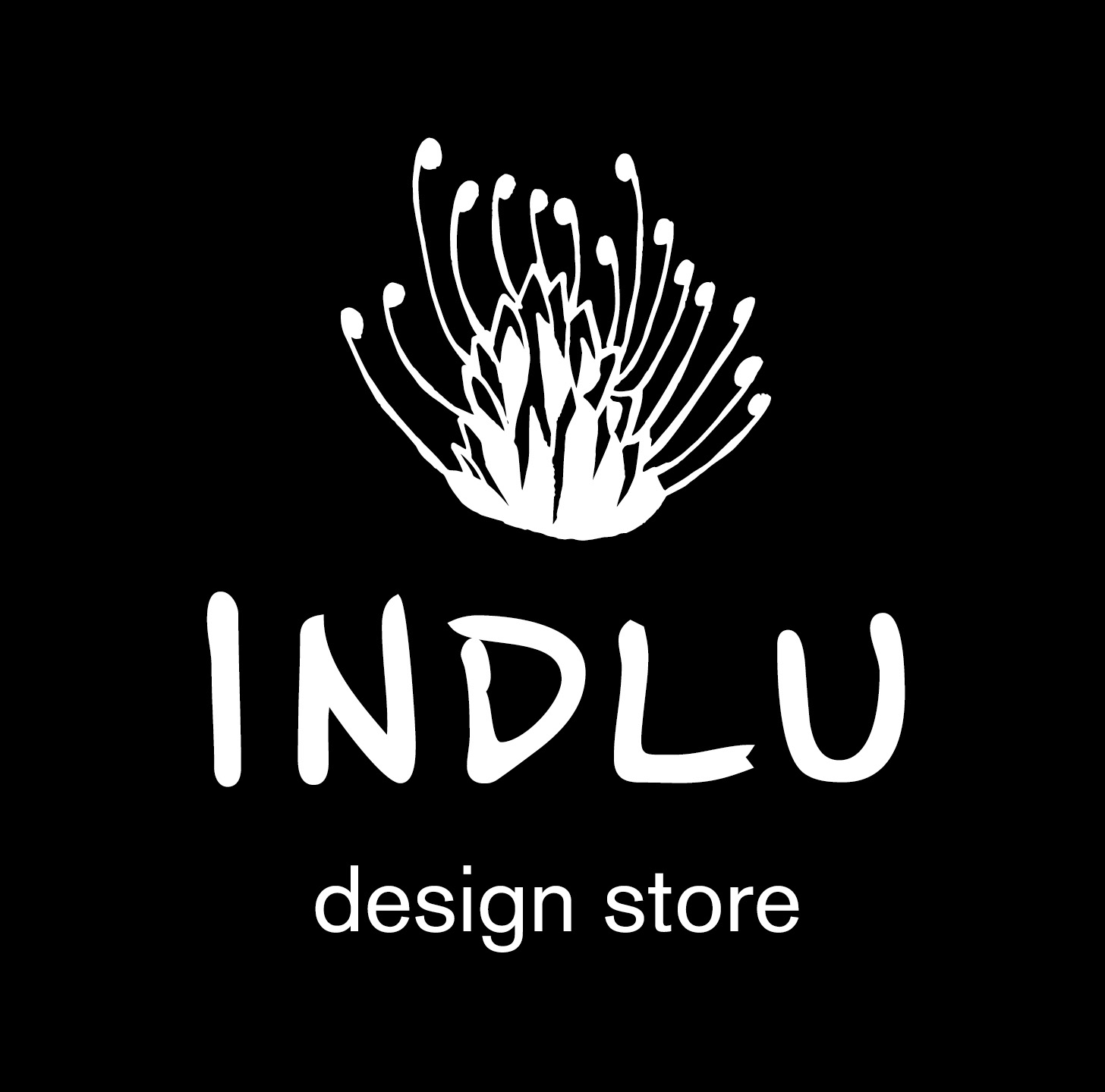 INDLU design store in Lübeck