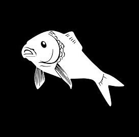 Roland Späht in Salgen