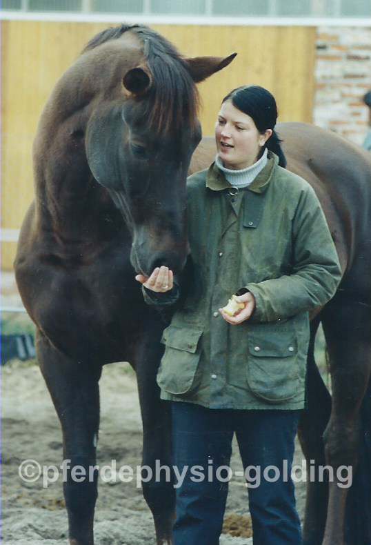 Pferdephysiotherapie Golding in Schönwölkau