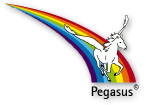 Umzüge Pegasus Münster Möbeltransporte - Umzugsservice - Möbellager - Self Storage