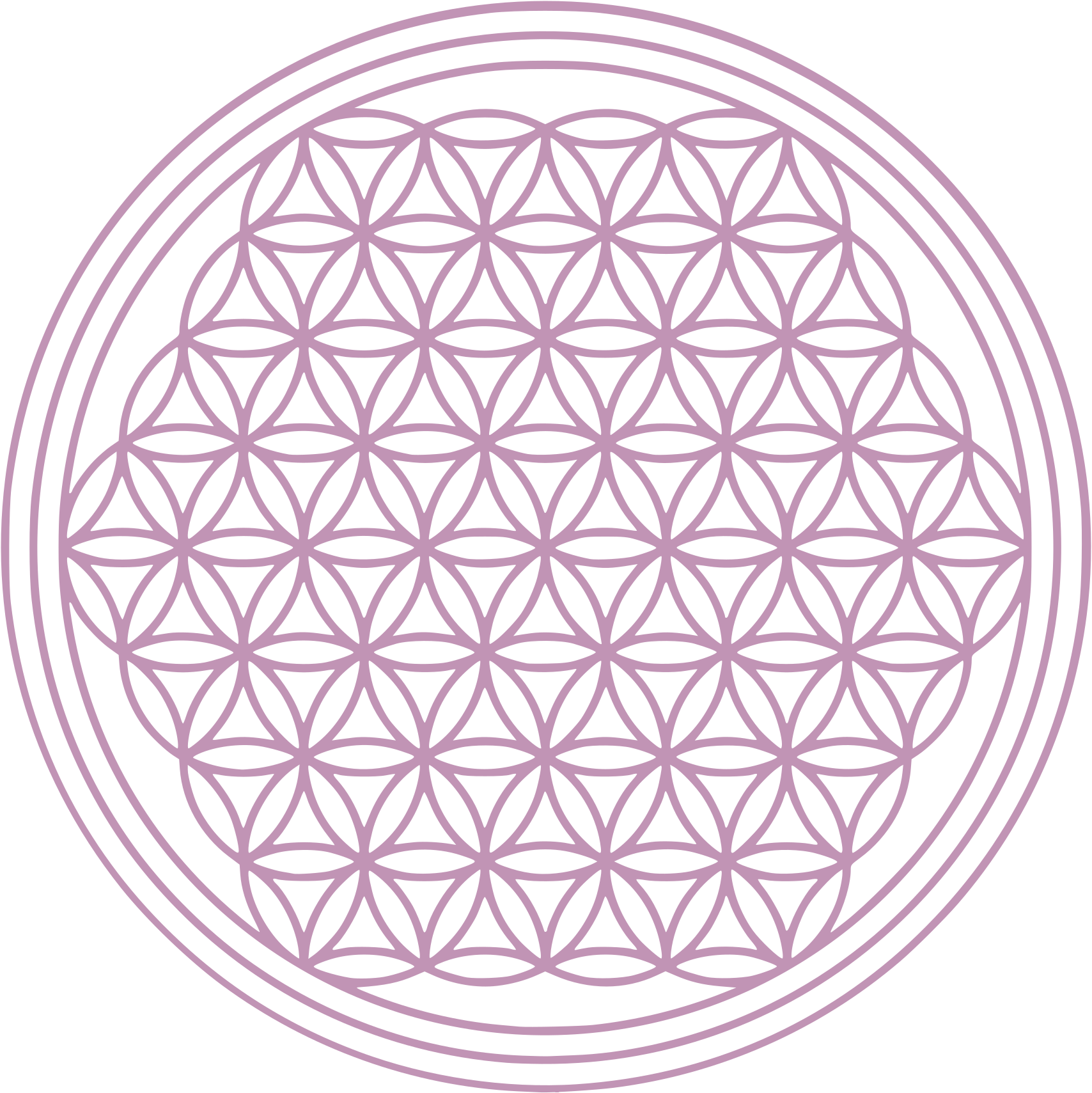 Auszeit in Landau an der Isar