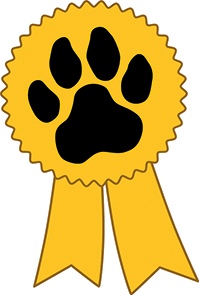 Kastencamp Jux & Pludra GbR