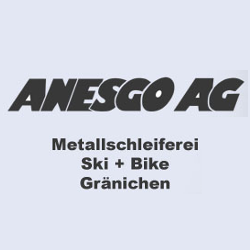 ANESGO AG in Gränichen