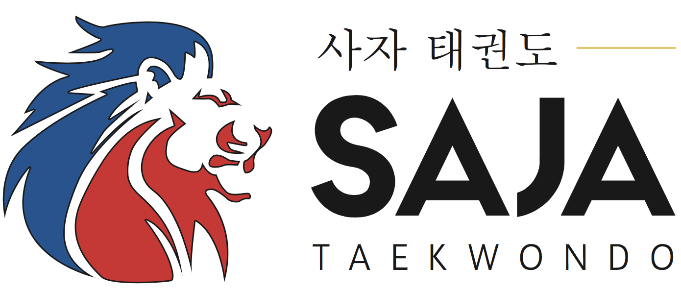 SAJA Taekwondo in Bad Camberg