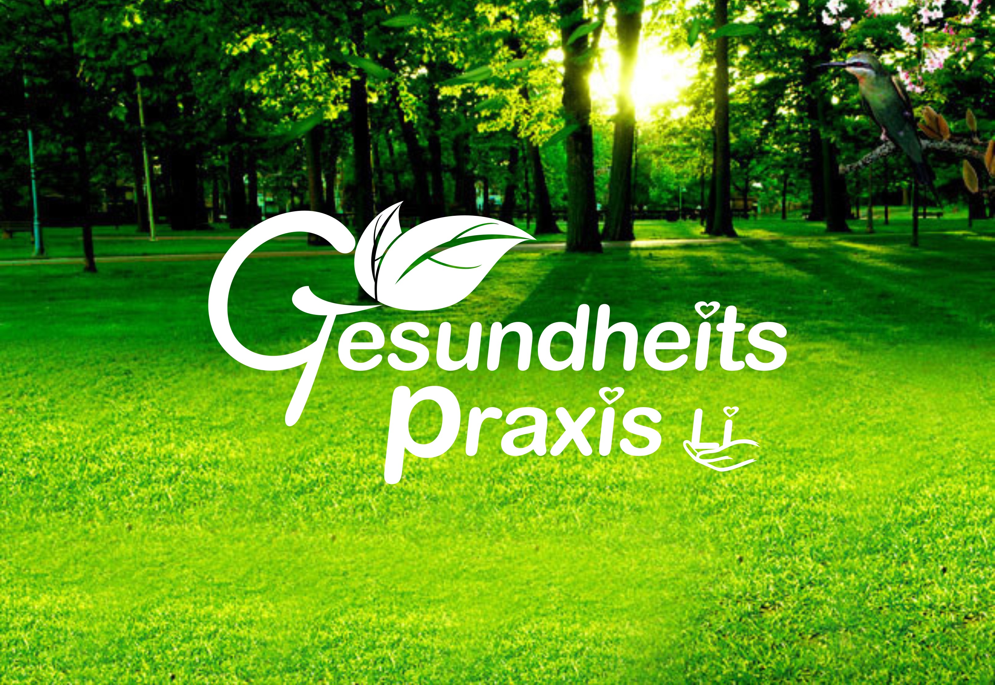 Gesundheitspraxis Li in Hanau - Hanau