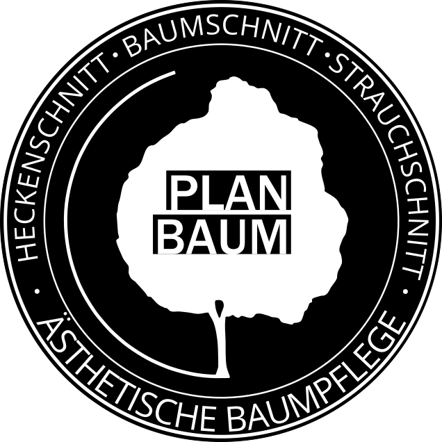 Planbaum - Ästhetische Baumpflege