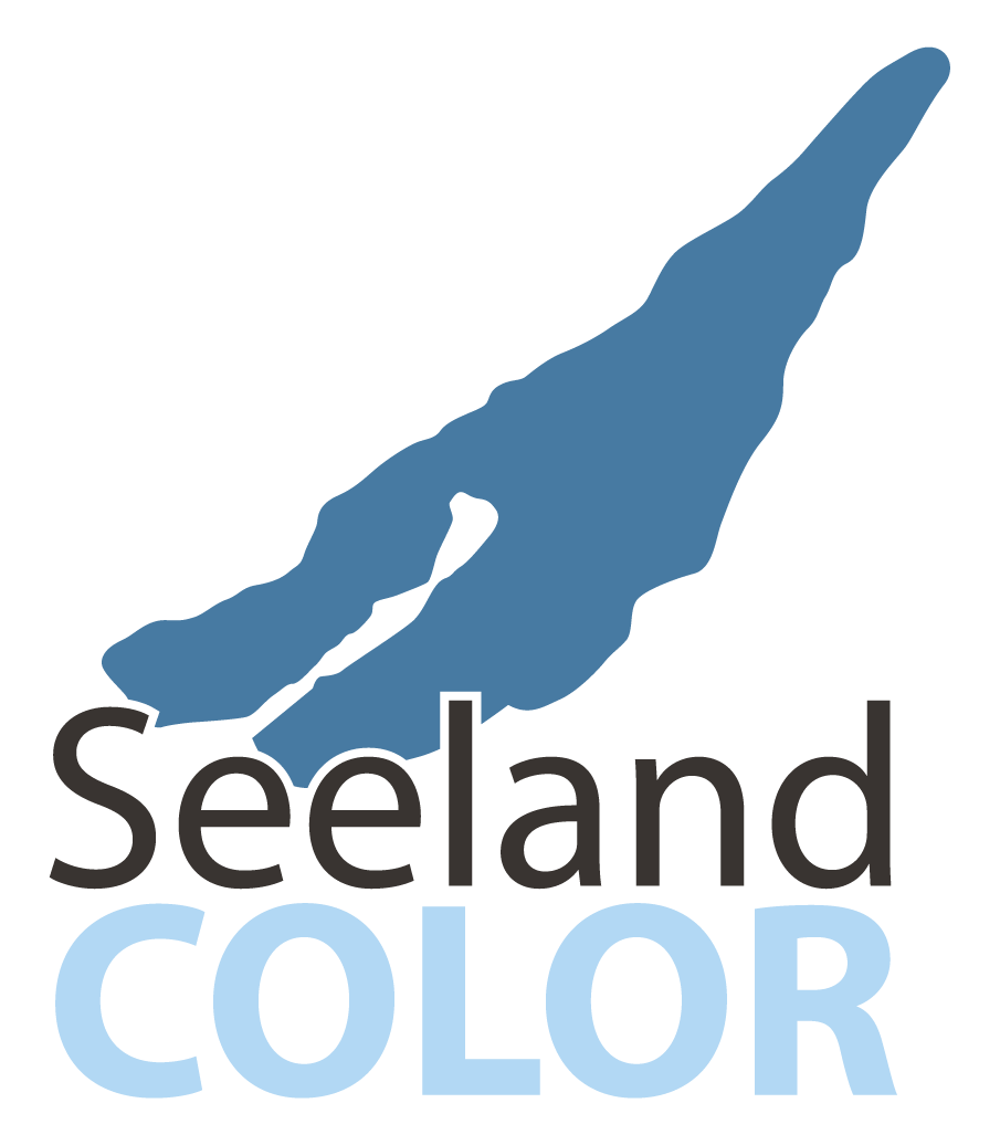 Seeland Color Maler- und Gipsergeschäft Hügli in Meinisberg