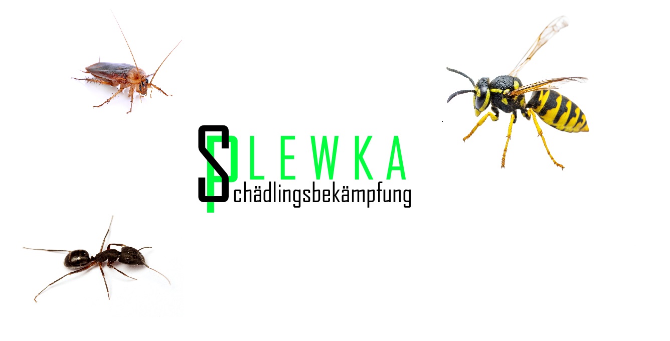 Plewka Schädlingsbekämpfung in Mönchengladbach