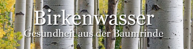Birkenwasser Online Shop in Bad Nenndorf
