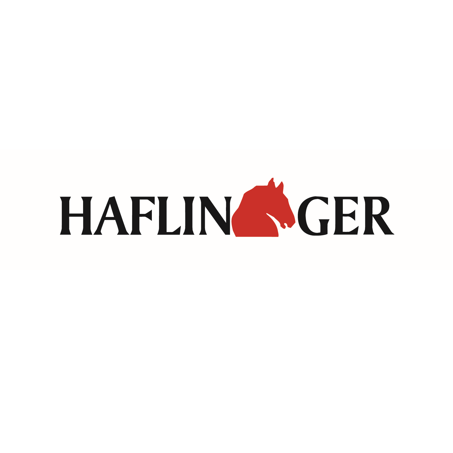 Haflinger iesse Schuh GmbH in Goslar