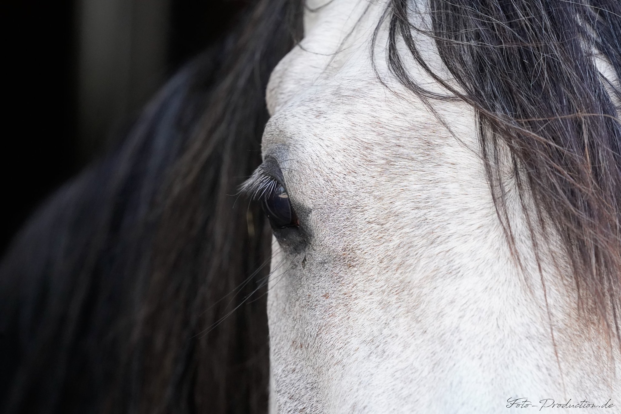 Foto-Production in Puchheim