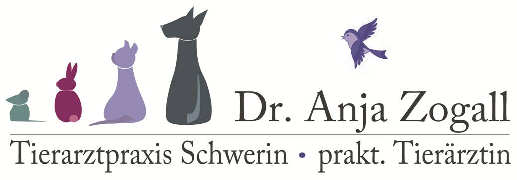 Dr. Anja Zogall, praktische Tierärztin in Schwerin