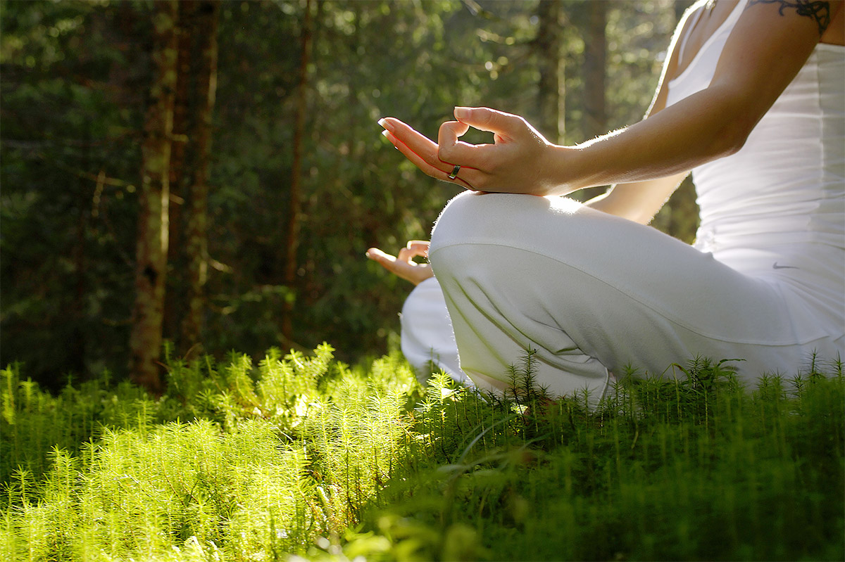 Yoga-Lehrer Schule Schleswig-Holstein in Kiel