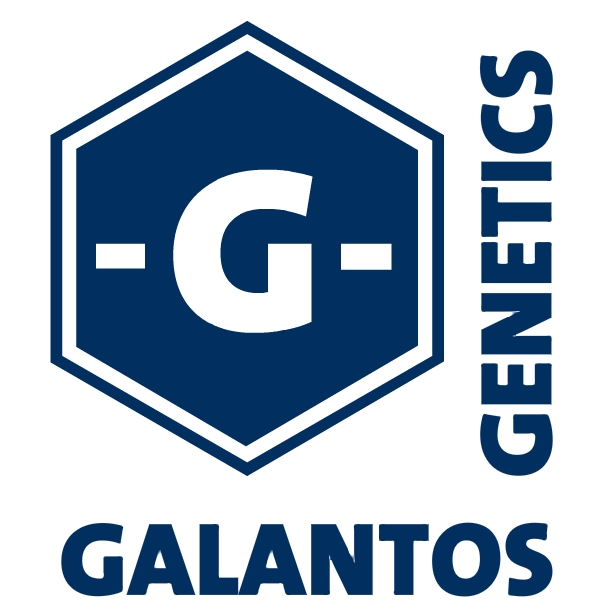 Galantos Genetics Vaterschaftstest