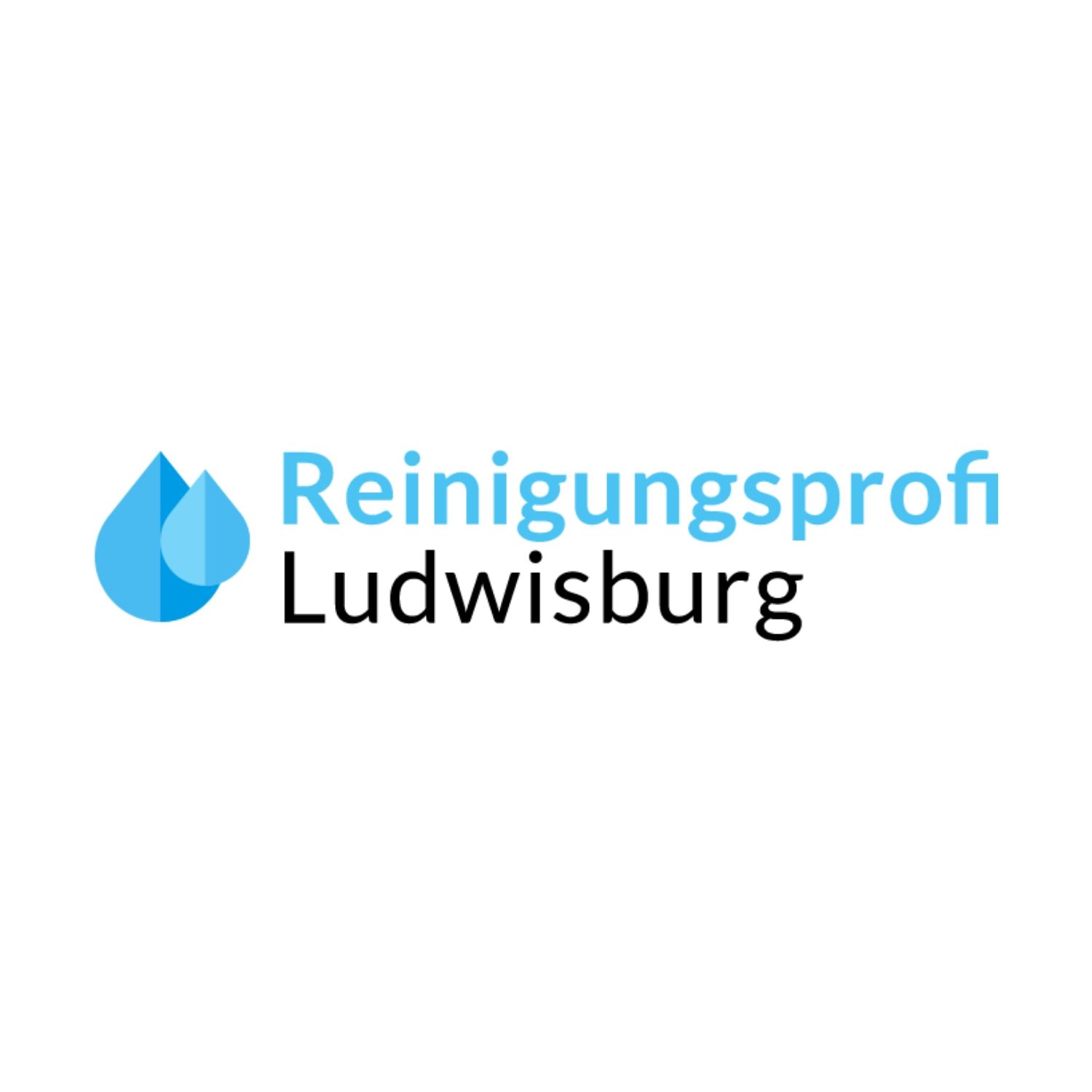 Reinigungsprofi Ludwigsburg in Ludwigsburg