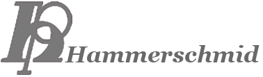H. Hammerschmid KG in Wien