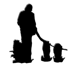 Alltags- und Familienhund - Coaching für Mensch und Hund in Salzgitter