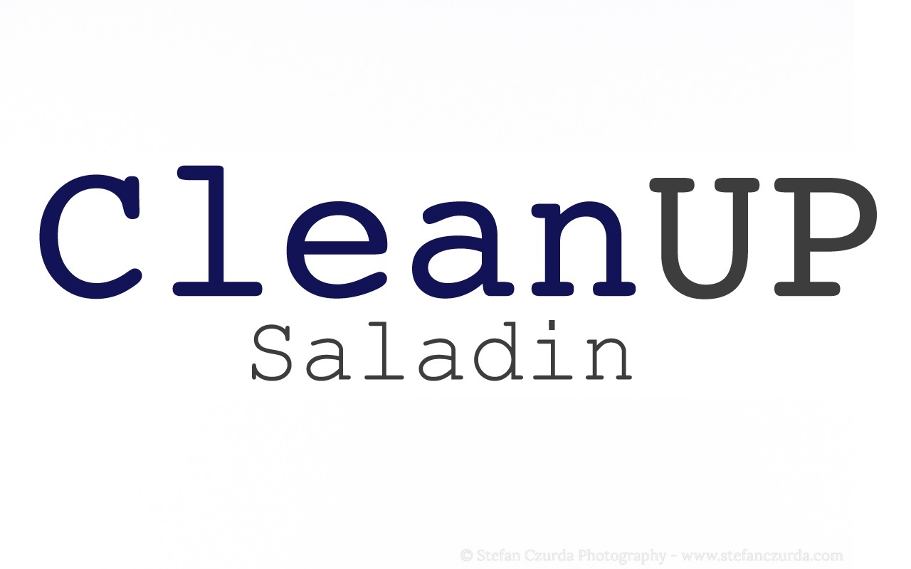 Cleanup Saladin GmbH in Safenwil