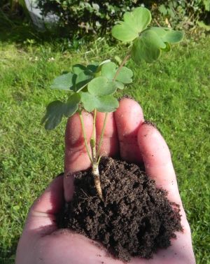 Sprachtherapie Claudia Kassner