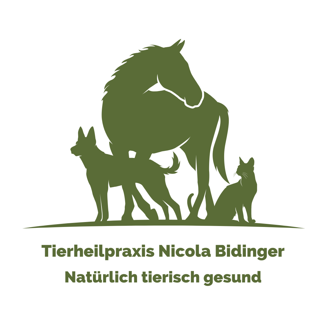 Tierheilpraxis Nicola Bidinger in Veldenz