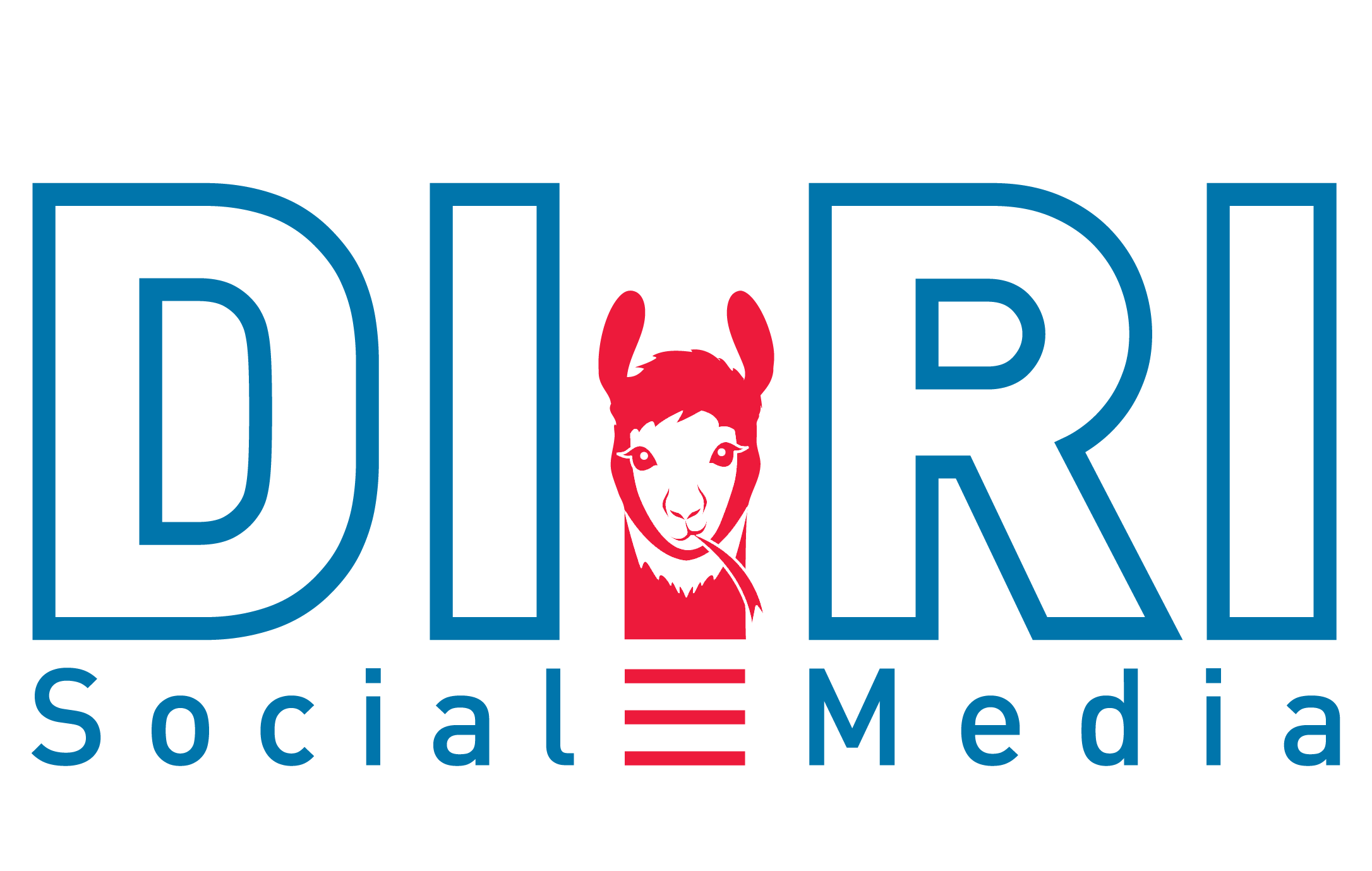 Di.Ri Social Media in Heidelberg