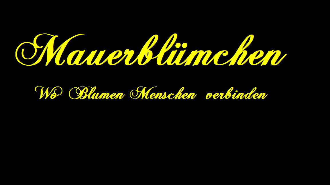 Mauerblümchen in Mörlenbach