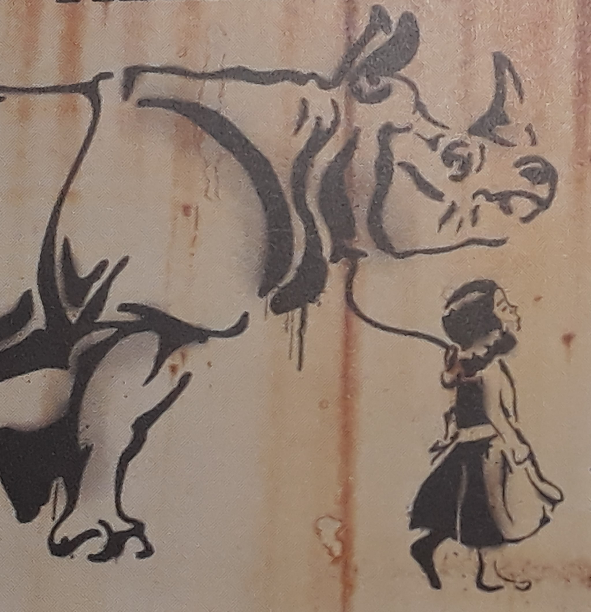 Mareike Wirth Tierheilpraktikerin - für alle Felle in Neu-Ulm