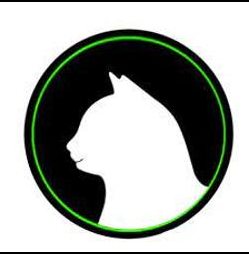 Katzennetz Montage Maikel's