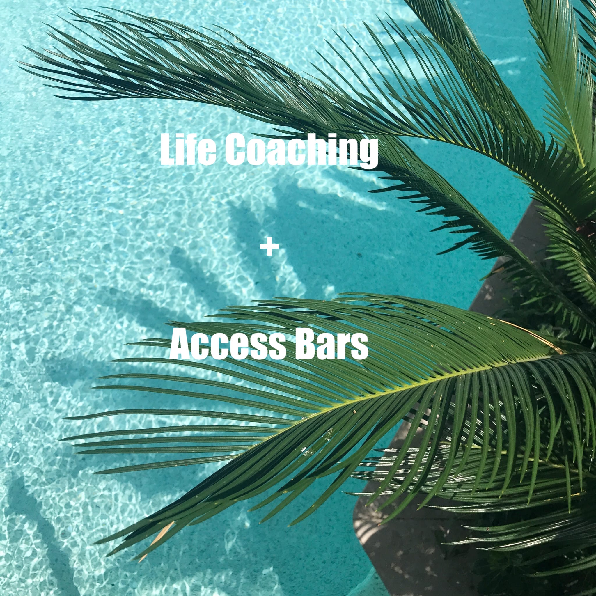Access Bars + Life Coach Zurich in Kloten