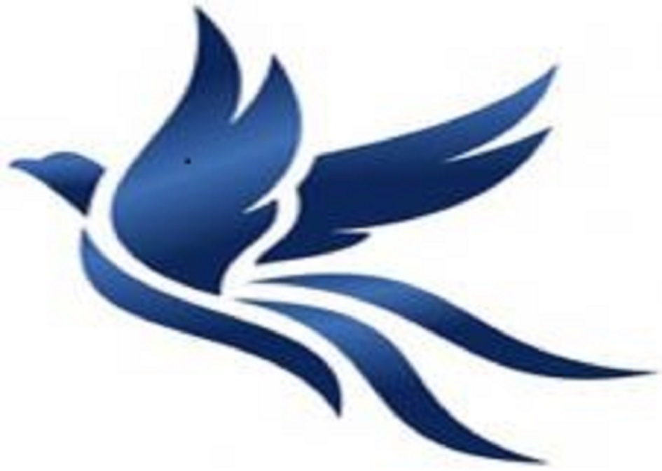 Phoenix Finanzvermittlung UG