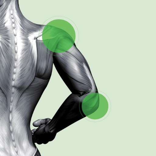 Heilpraktiker Rogon - Kinesiologie in Bielefeld