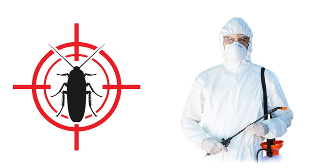 Kammerjäger & Schädlingsbekämpfung in Frankfurt