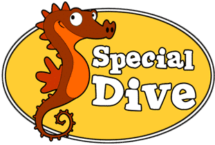 SSI Specialdive Deine Tauchschule in Leopoldsdorf bei Wien