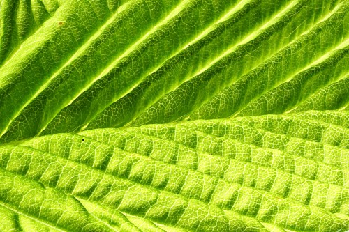 Dr. Dieter Geppert - DG InnoConsult in Hilden