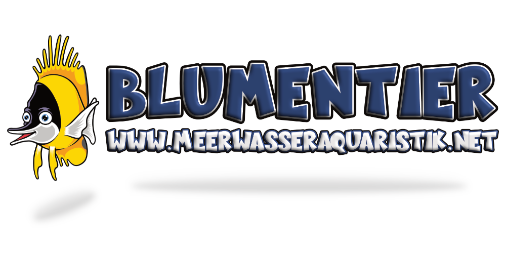 Blumentier Meerwasseraquaristik in Heddesheim