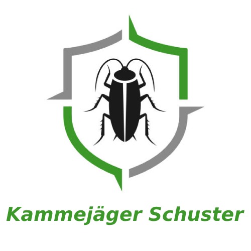 Kammerjaeger-Schuster in Köln