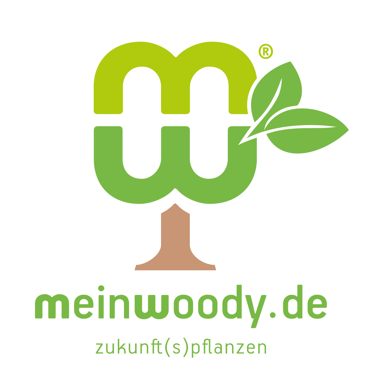 Evolutio UG - meinwoody.de in Grub am Forst