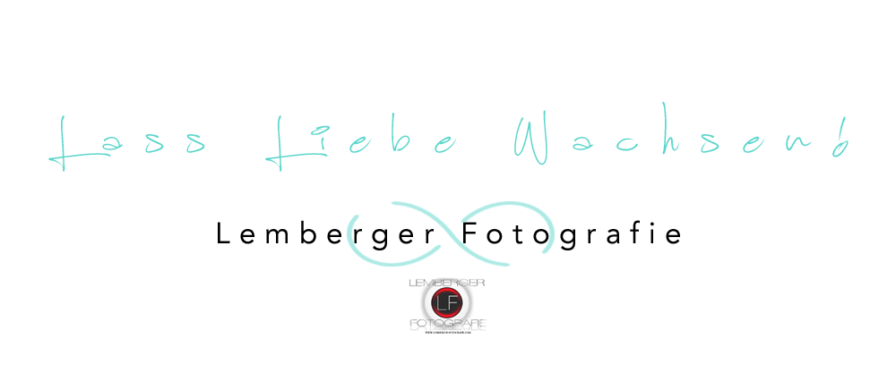 Lemberger Fotografie in Erlangen