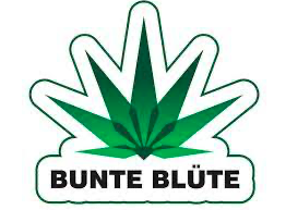 Bunte Blüte in Berlin