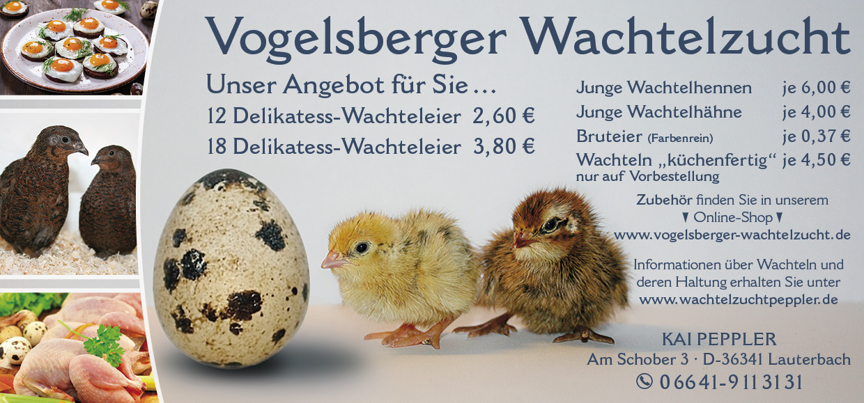 Vogelsberger Wachtelzucht in Lauterbach