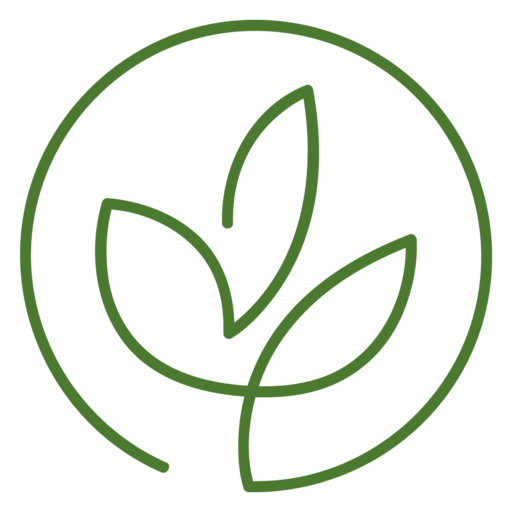 Dr. Friederike Feil Akademie in Berlin