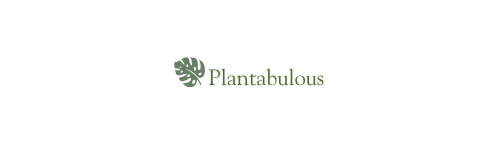 Plantabulous in Wimsheim