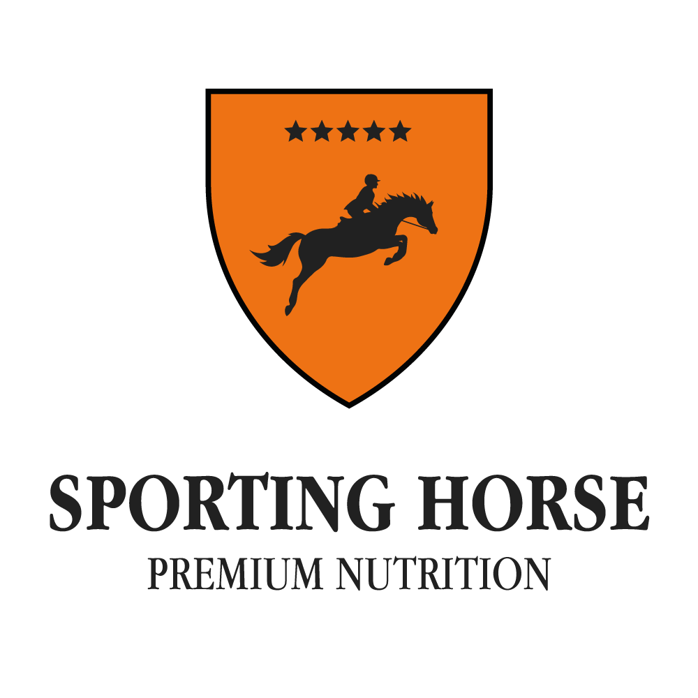 SPORTING HORSE in Schwielowsee OT Geltow