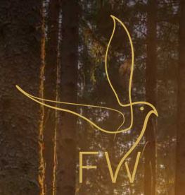 Traumatherapie Kassel - Franziska Weitzel in Zierenberg