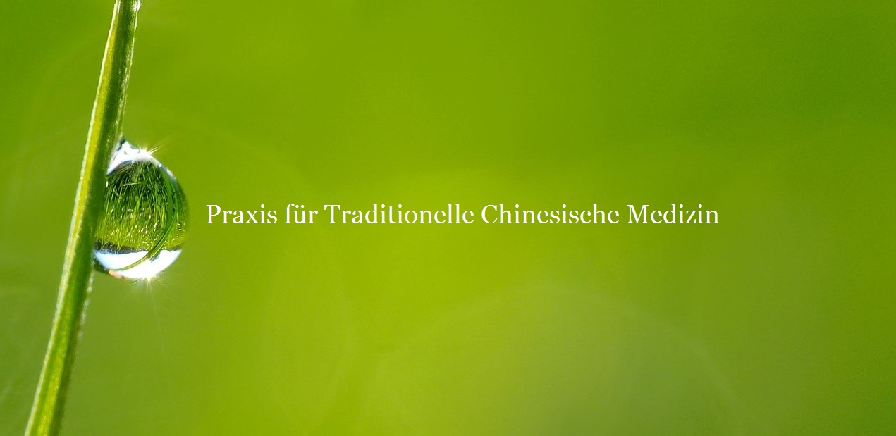 Praxis für Traditionelle Chinesische Medizin