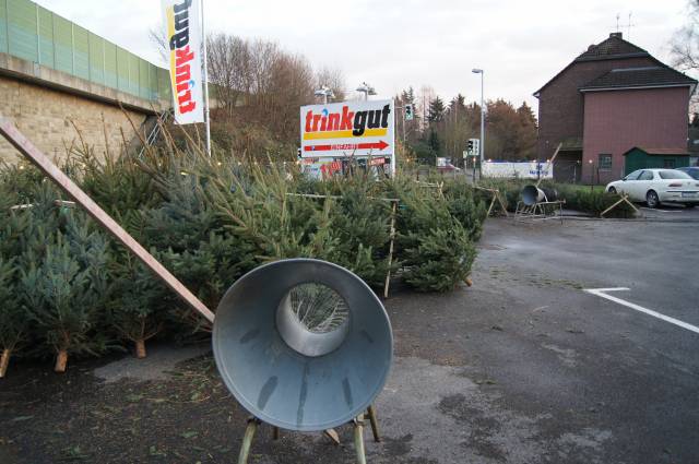 Weihnachtsbaum Ratingen in Ratingen