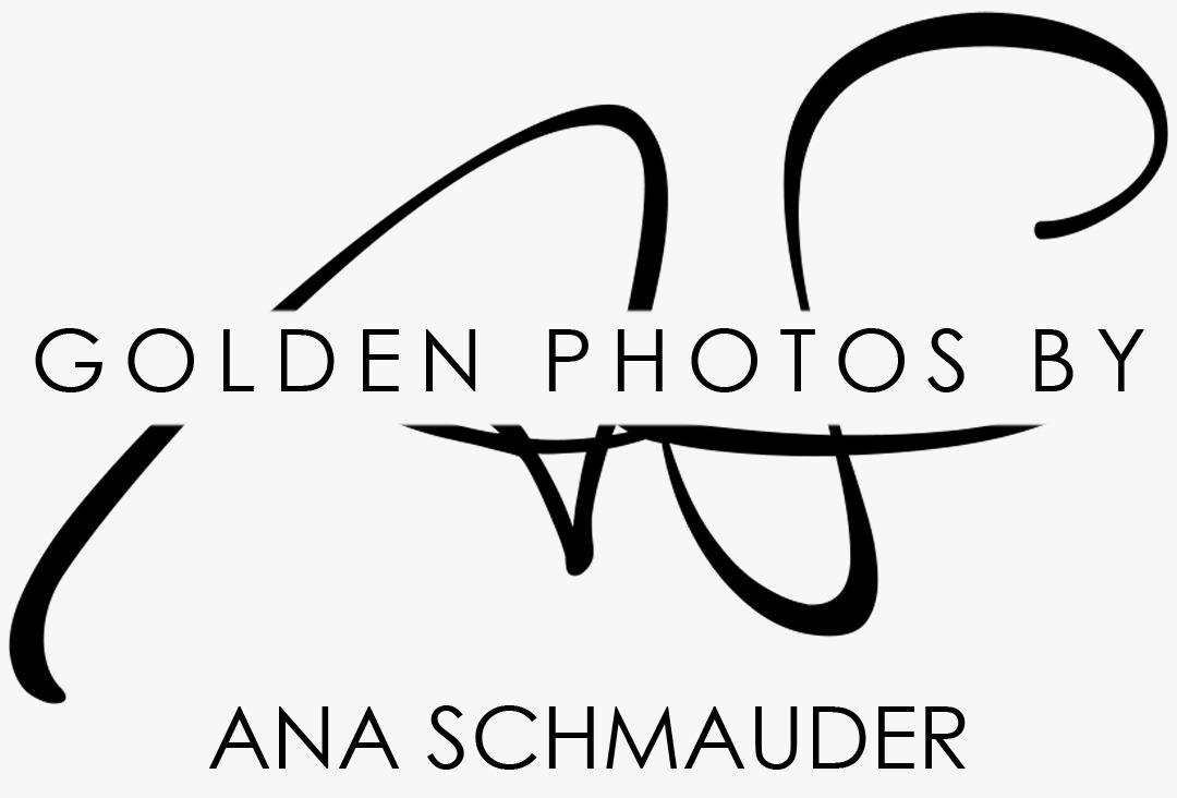 Tim Schmauder in Kirchheim unter Teck