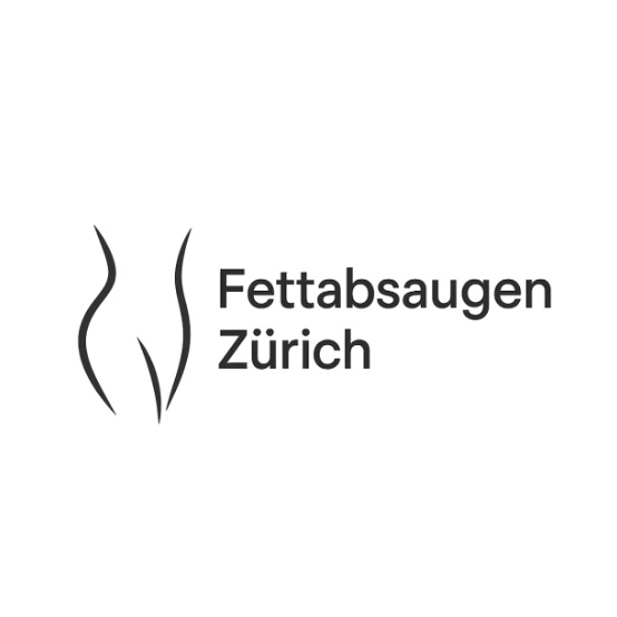 Fettabsaugen Zürich in Zürich